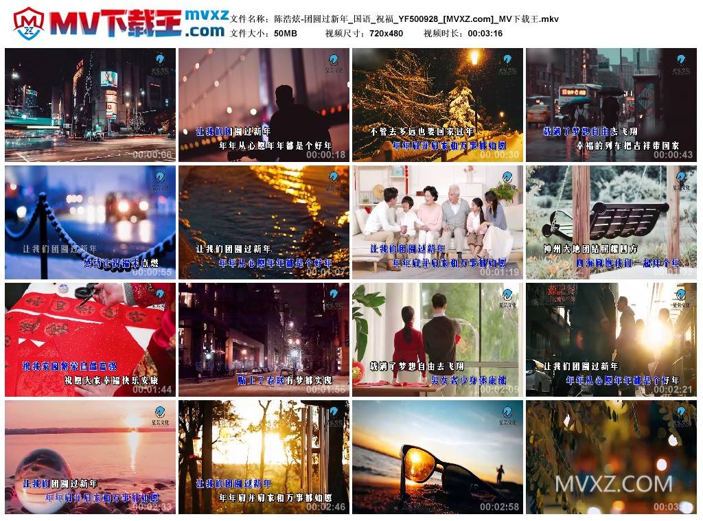 陈浩炫-团圆过新年_国语_祝福_YF500928